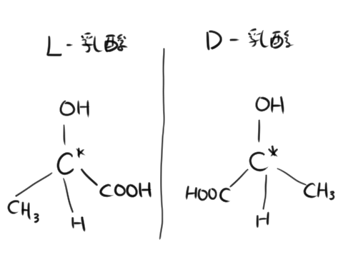 L乳酸とD乳酸の鏡像関係